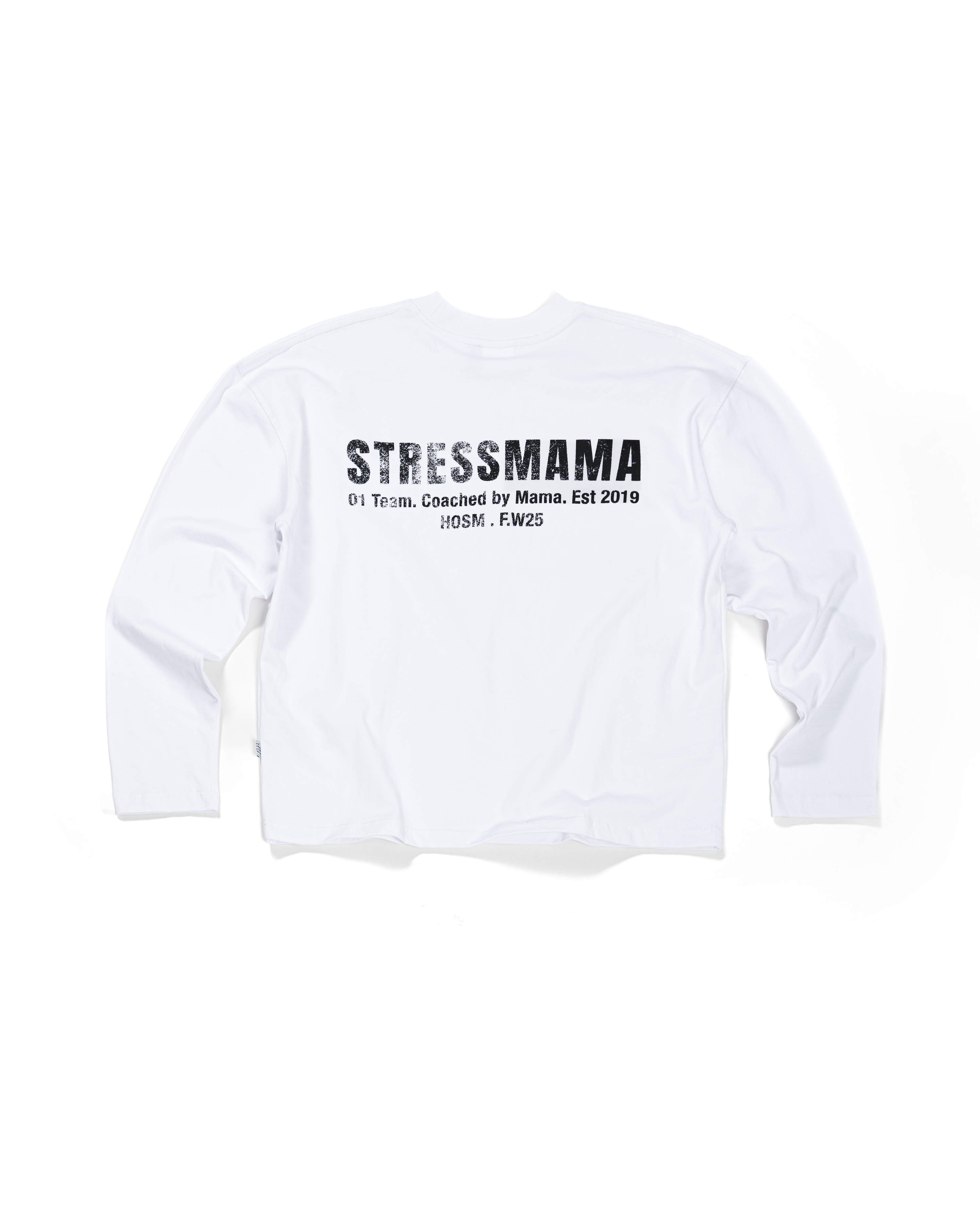 FW25 REGULAR LONGSLEEVE - WHITE