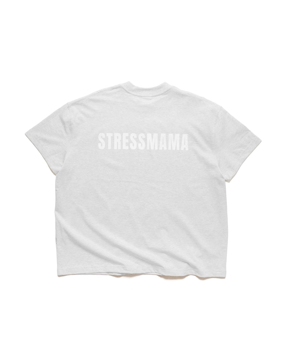 FW25 BASIC T-SHIRTS - GRAY