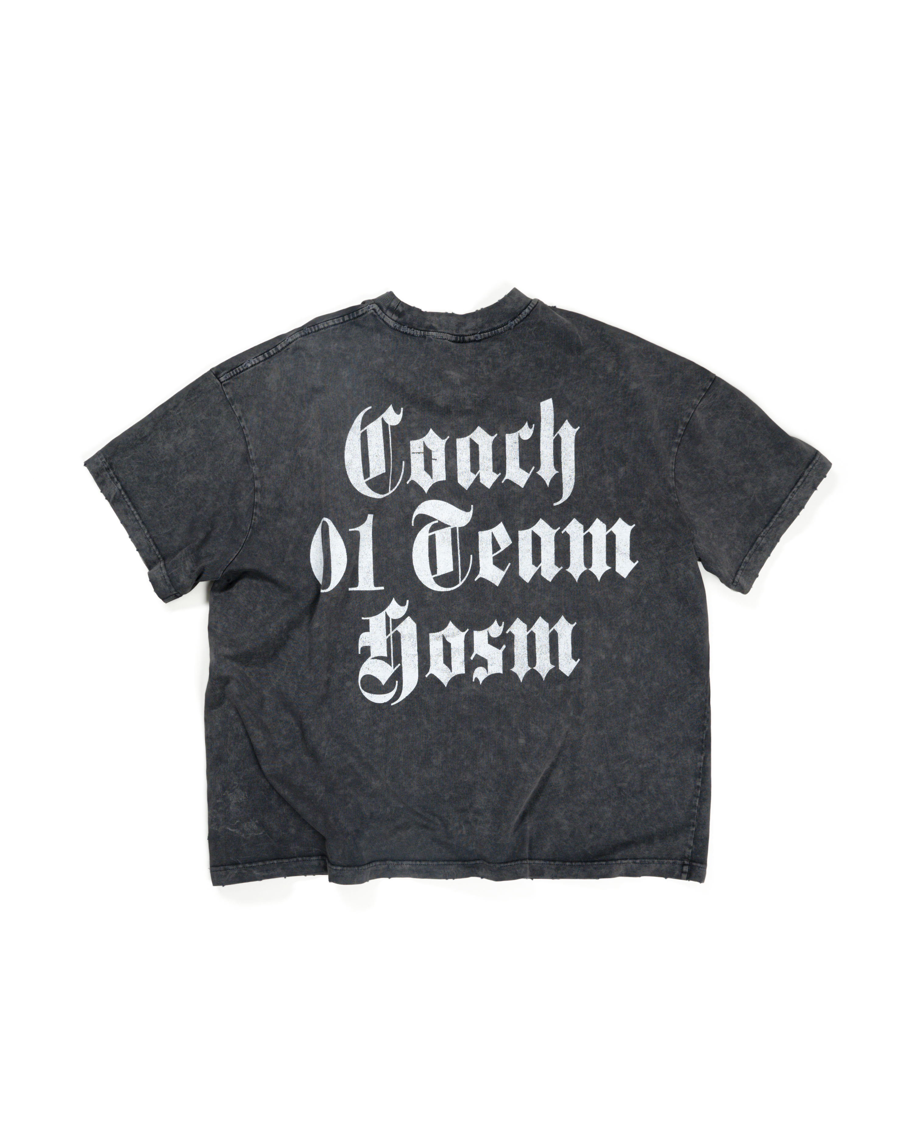 FW25 COACH 01 TEAM T-SHIRT - GRAY