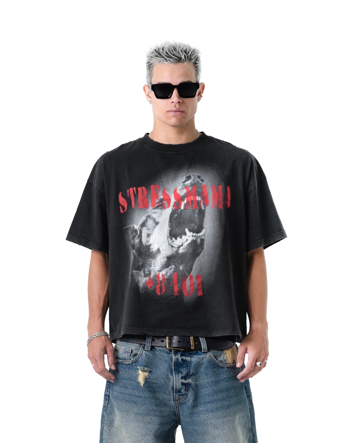 SS26 DOBERMANN T-SHIRT - BLACK